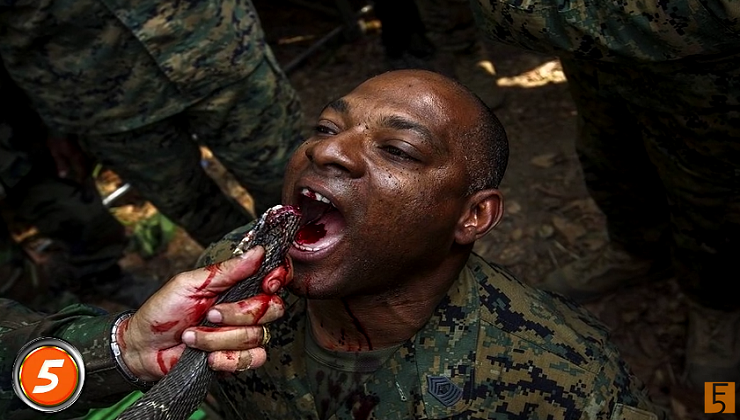 5 Craziest Military Training Exercises