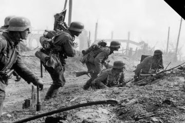 The Battle of Stalingrad from a German Perspective ( Video )