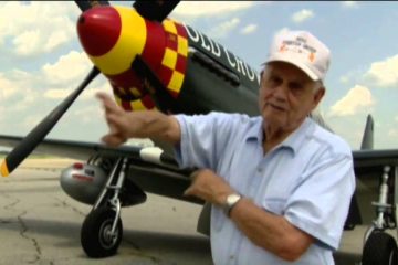 Showdown: Air Combat P51 Mustang vs Me109 ( Video )