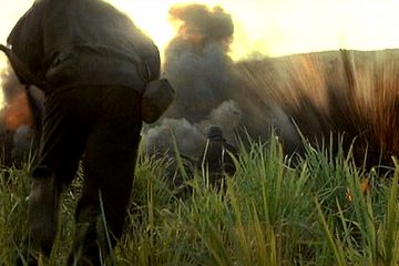 War Movie Scene: Attacking the Japanese Hilltop Bunker, the Thin Red Line ( Video )