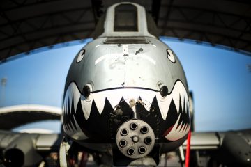F-35 vs A-10 Warthog, Which Plane would you want in a Ground Fight? (Video)