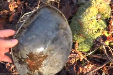 Old Battlefields Revisited : German WW2 Equipment Abandoned ( Video )