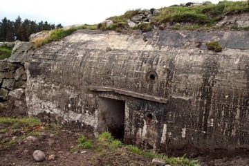 Forgotten bunker found and opened . wow !