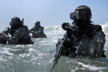 Seal Training