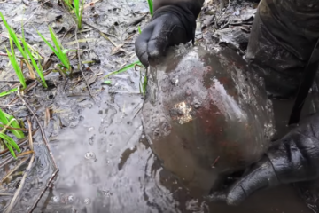 Watch : As Warehouse of WW2 Weapons are Found in a Swamp! ( Video )