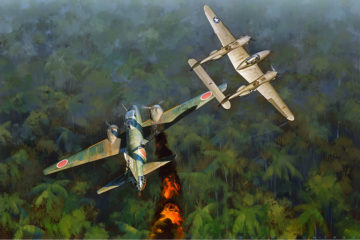 Yamamoto's Plane Wreck