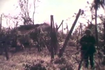 Vietnam War “Operation Mallet,” 1st Infantry Division, 1/28-1/29 1966