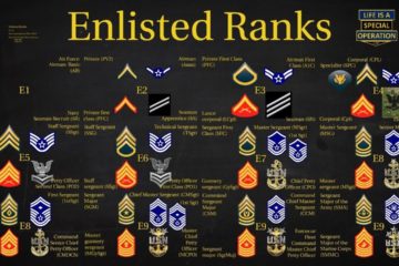 US Military (All Branches) Enlisted Ranks Explained