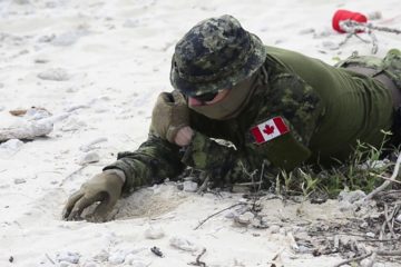 U S and Allied Forces Participate in Explosive Ordnance Disposal (EOD) Exercise