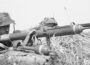 Germany Never Expected PIAT Springs To Crack Panthers Up Close