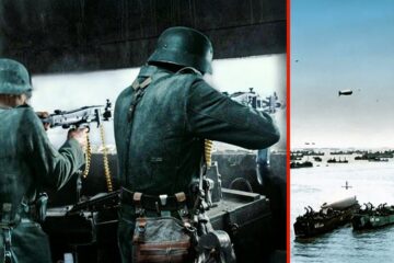 The Horror of D-Day from the German Perspective