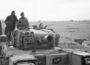 AVRE ‘Flying Dustbin’ Tanks Deleted MG-42 Nests In One Shot