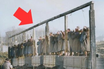 Witnessing The Public Execution Of German Soldiers Was WORSE Than You Think! Witnessing The Public Execution Of German Soldiers Was WORSE Than You Think!