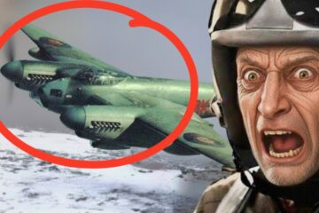 German Pilot Stunned When Mosquito Appears in Berlin