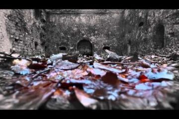 What remains of the Battle of Verdun ?