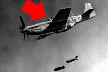 Even Out of Fuel, This P-51 Pilot Shocked the German Fighters With What He Did Next Even Out of Fuel, This P-51 Pilot Shocked the German Fighters With What He Did Next