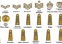 Every Rank In British Army During WWII Explained
