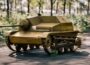 When Cockroaches Hunted Panzers