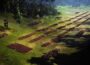 The Greatest Ambush in History? – Tuetoburg Forest
