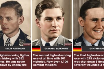 Top 50 Luftwaffe Aces of WWII — The Ultimate Countdown