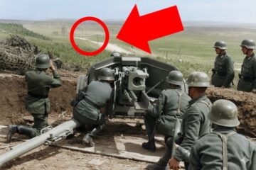 The WW2 Victory That Became Their Most Costly Disaster