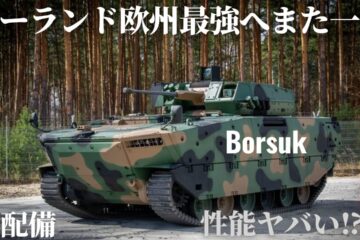 The Borsuk infantry fighting vehicle is amazing… the Polish army’s armored forces have been mod…