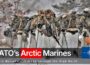 NATO’s Arctic Marines • Journey through the High North